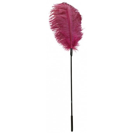 Pink feather