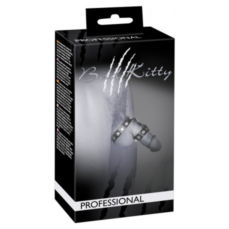 Penis/testicle Harness