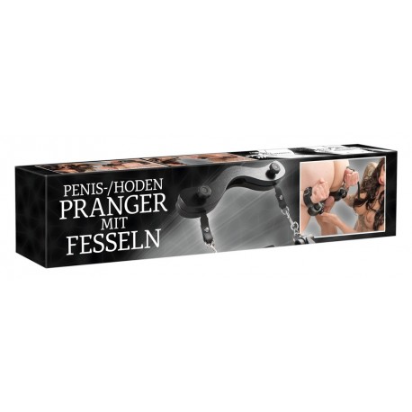 Penis/Testicle Pillory with Ha