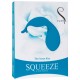 The Swan Kiss Teal