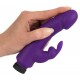 Power Vibe Collection Rabby
