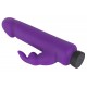 Power Vibe Collection Rabby