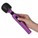 My Secret Love Passion Pointer
