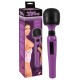 My Secret Love Passion Pointer