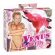Venus Butterfly