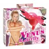 Venus Butterfly