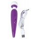 Women's Spa Mini Massager