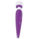 Women's Spa Mini Massager