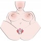 G-spot Labia Spreader