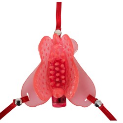 Pink Butterfly