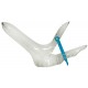 Vagina Speculum, plastic