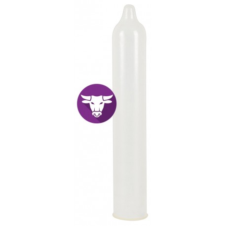 Secura El Toro pack of 12