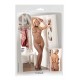 Net catsuit black S/M
