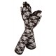 Body and Gloves S