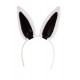 Bunny Body M